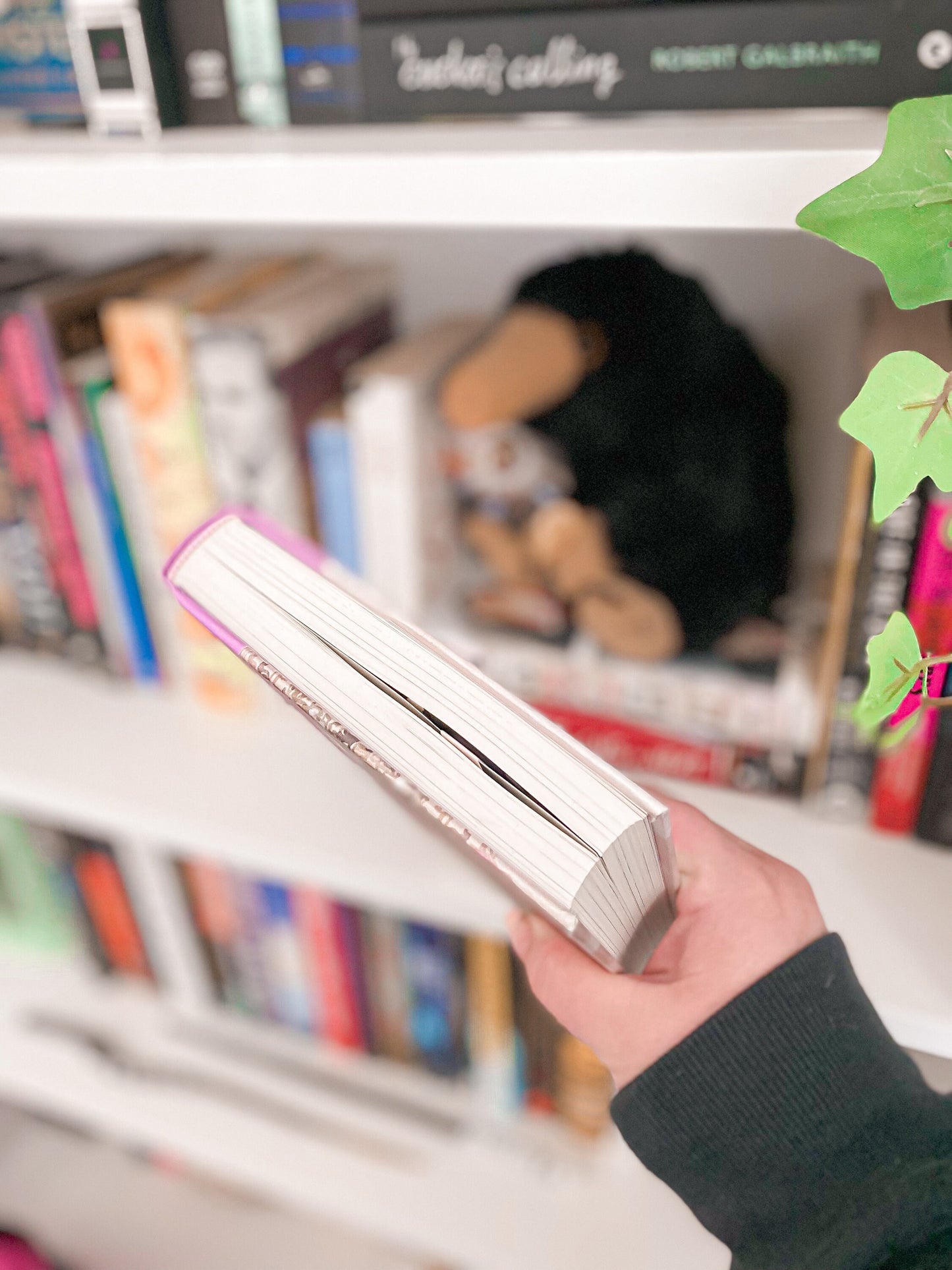 Pan Dulce Concha Magnetic Bookmark