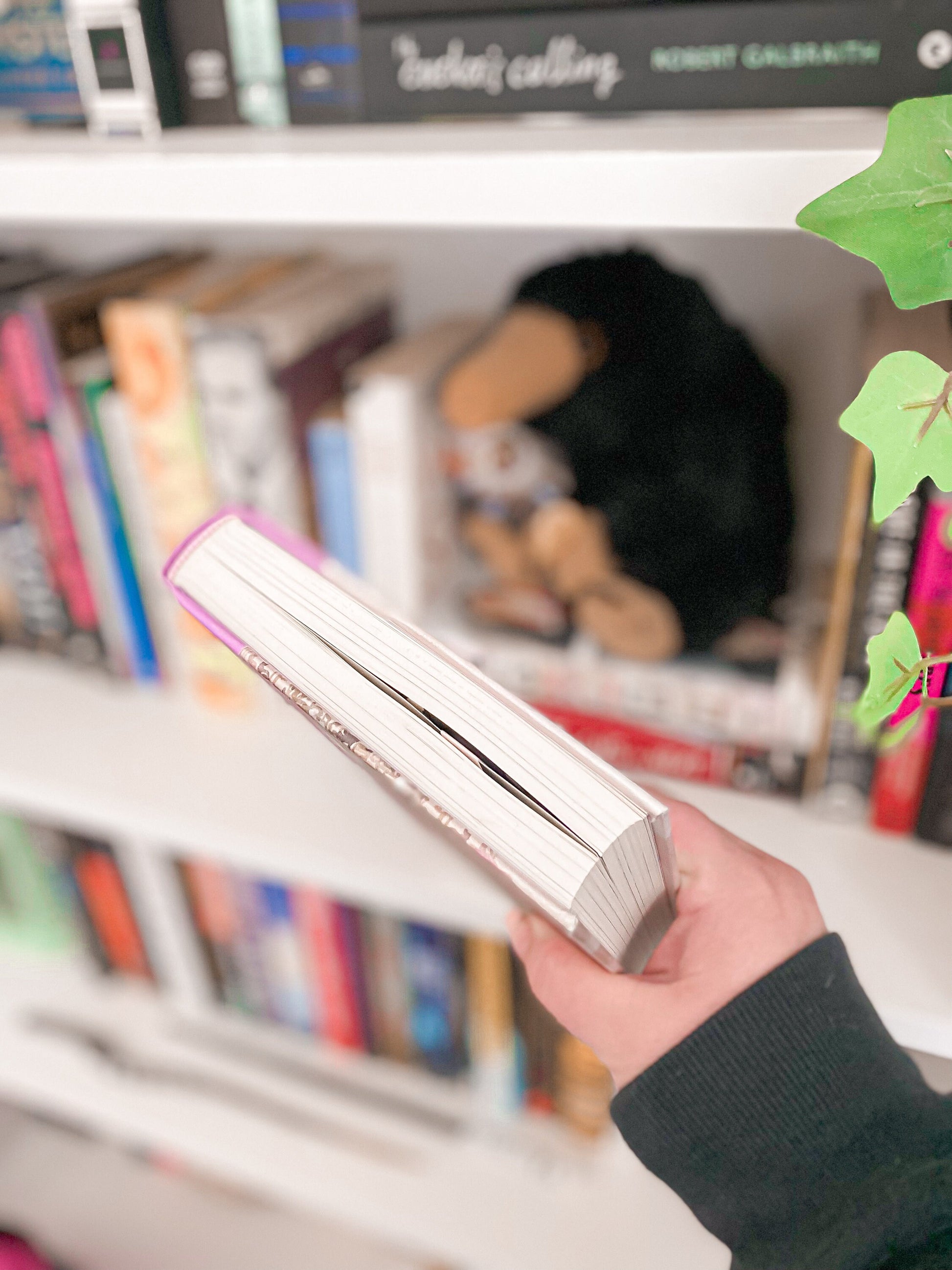 Pan Dulce Concha Magnetic Bookmark